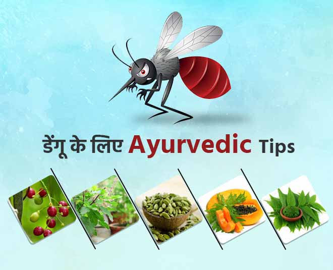 dengue tips article image